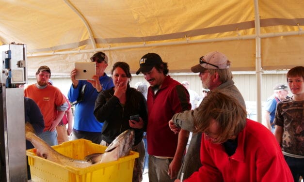 Last-minute catch wins Petersburg derby