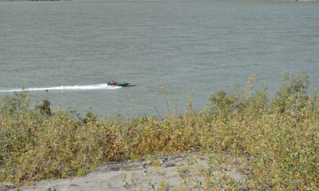 Subsistence king season won’t open on Stikine River