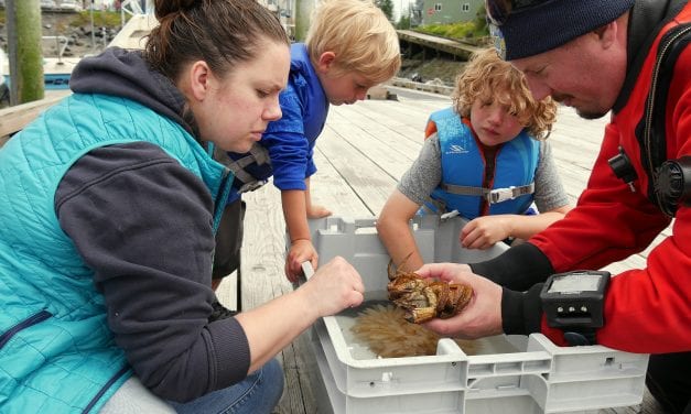 Divers study invasive species in Southeast and educate public about sea life
