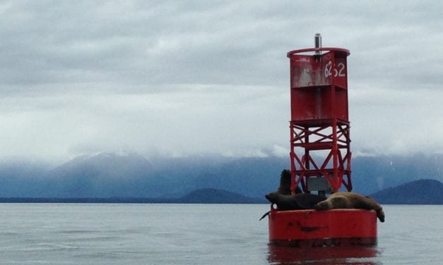 Business as usual for marine mammal deterrence