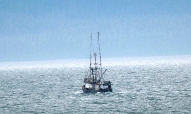 First troll opening done for Southeast summer king salmon