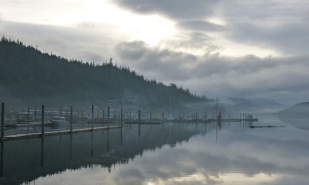 Tongass timber sale short on timber