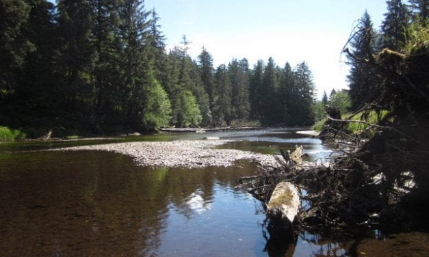 Schwartz seeks continuation of Hammer cabin on Petersburg Creek