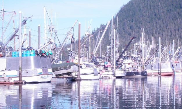 Electronic monitoring available for smaller fishing boats