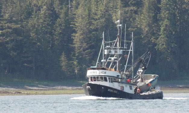 Southeast’s pink salmon catch falls short again