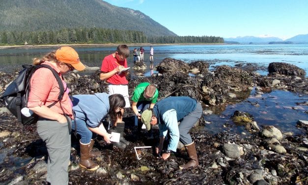 Petersburg students learn research skills in summer science camp