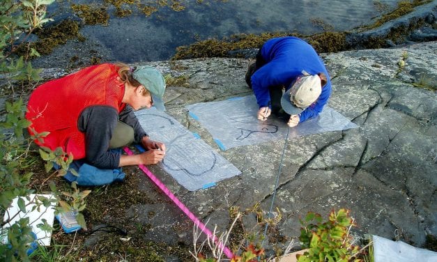 Archaeologists shed light on Tlingit culture near Petersburg, before Europeans