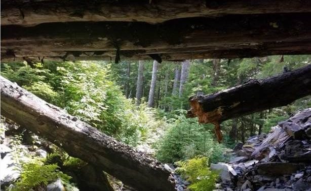 Broken bridge closed on forest road west of Petersburg