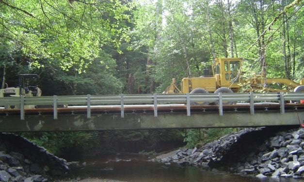 Forest road on Mitkof Island near Petersburg reopens