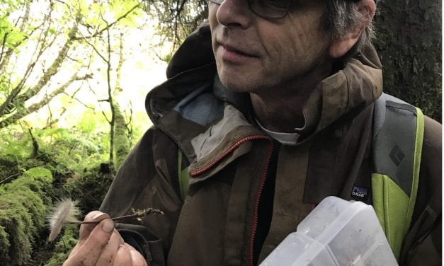 Mushroom expert reports rare finds around Petersburg