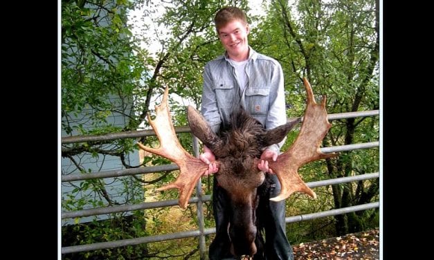 Record number of moose taken in Southeast fall moose hunt