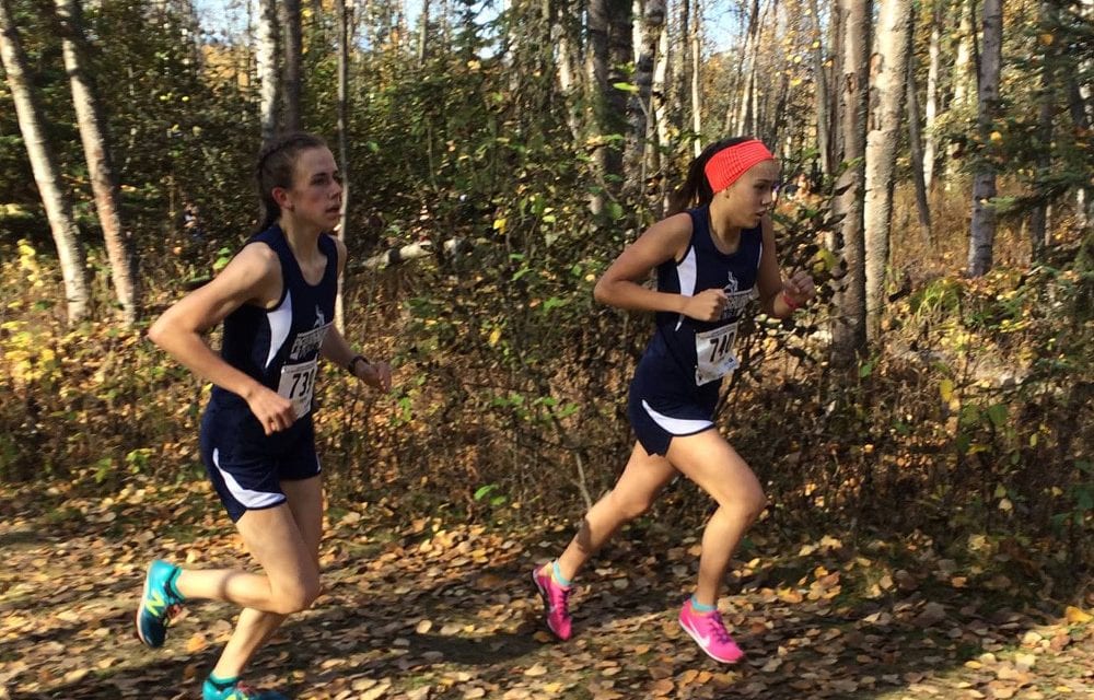 Petersburg High girls cross country fourth at state
