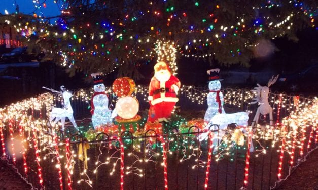 Petersburg’s Christmas tree moves to new spot