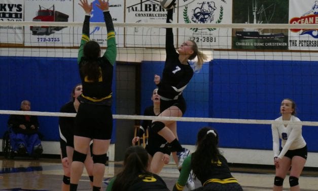 Vikings will volleyball region title, bound for state along with Wrangell Wolves