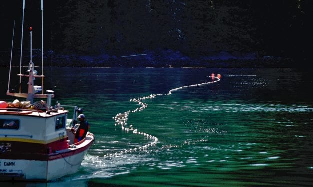 Shellfish first, finfish second at Sitka meeting of Board of Fish