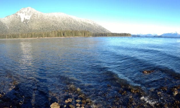 Cool, dry November in Petersburg