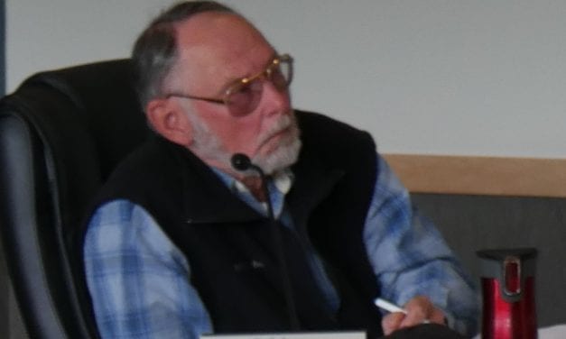 Petersburg assembly redoes vote on power agency board