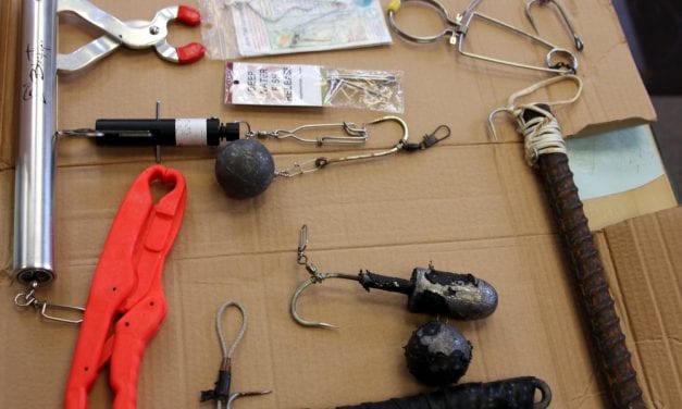 Deep water release required for rockfish in Southeast Alaska in 2020