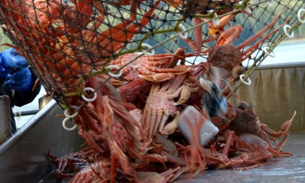 Offshore areas opened for king, Tanner crab in Southeast