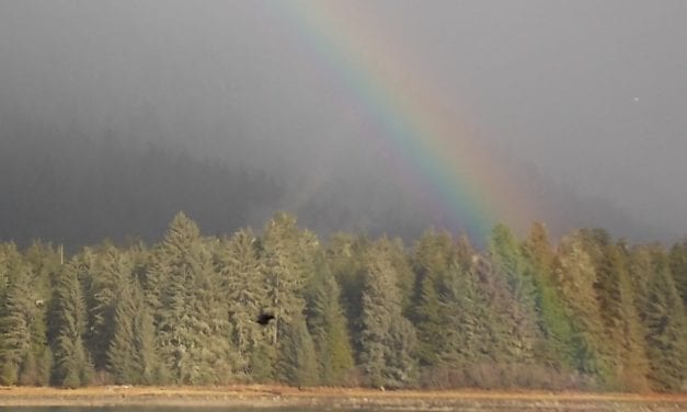 Meteorologist to discuss marine weather forecasting in Petersburg