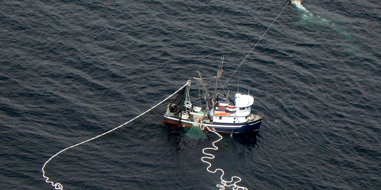 Kodiak Fisheries Debate – US Senate Candidates