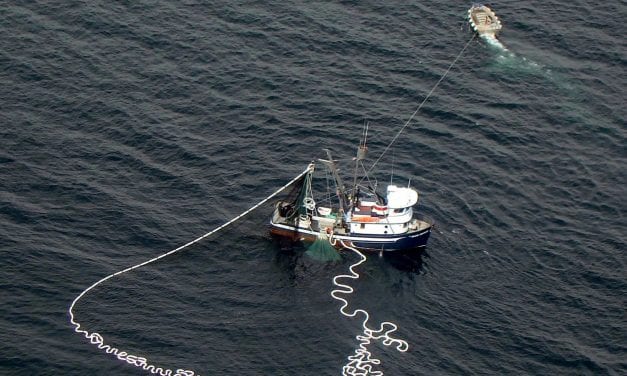 Kodiak Fisheries Debate – US Senate Candidates