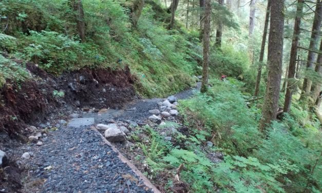 Forest Service starts planning for projects near Petersburg, Wrangell, Kake