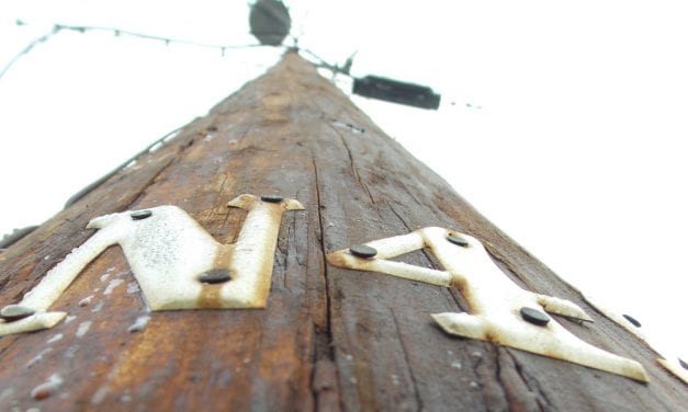 Petersburg assembly gives final approval on utility reorganization