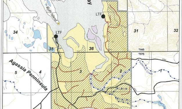 Petersburg asks Division of Forestry to drop parcels from logging plan
