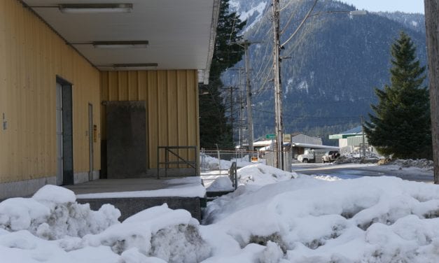 Petersburg to pursue land swap for harbor building