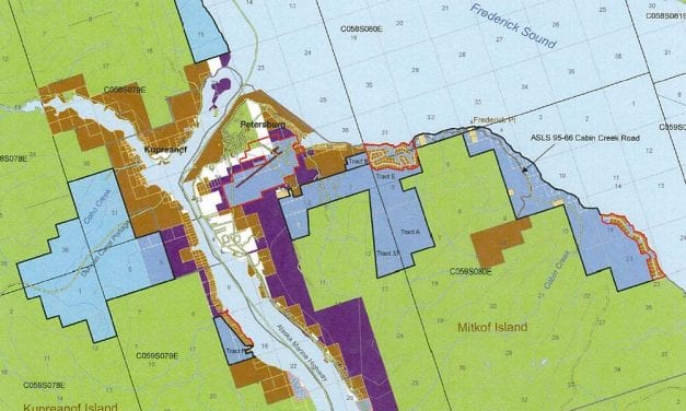 Petersburg seeks updated info on land entitlement