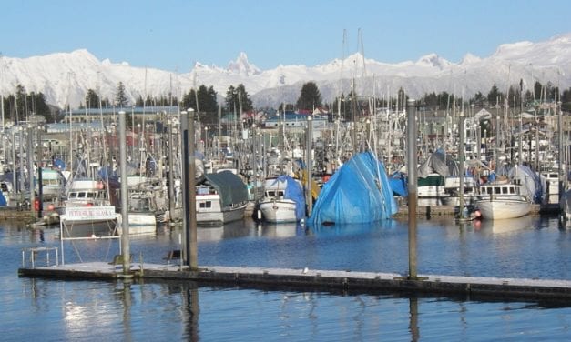 Southeast king salmon cuts hit commercial trollers, net fisheries