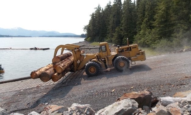 Advocacy group says Forest Service documents don’t show fix for Tongass timber sales