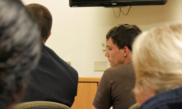 Petersburg teen sentenced in deer hitting incident