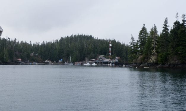 USFS releases draft review for Prince of Wales timber sales, projects