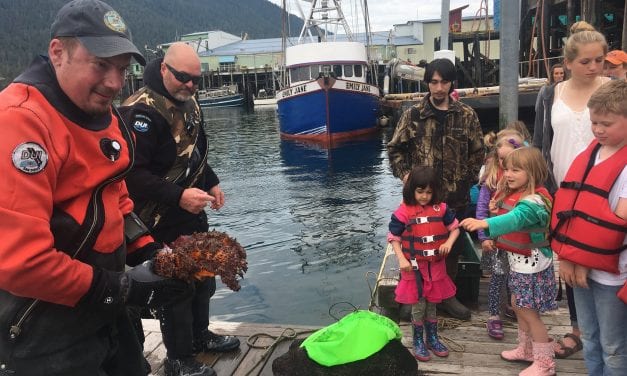 Kids meet ocean creatures at Petersburg’s North Harbor