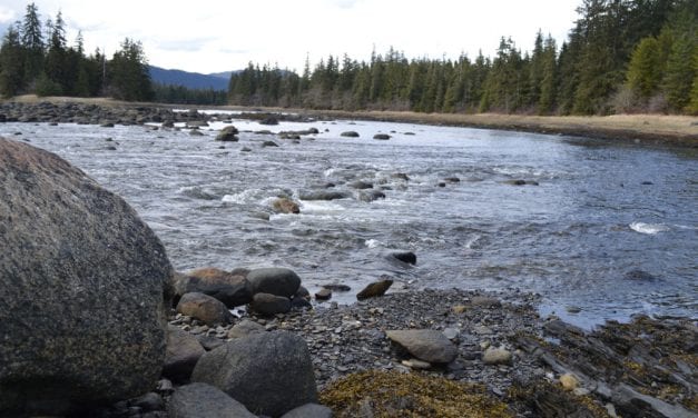 Central Southeast king salmon following forecasts