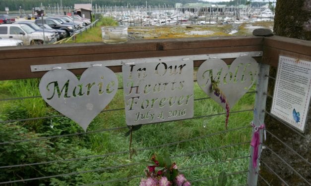 Petersburg sued for July Fourth fatal van crash