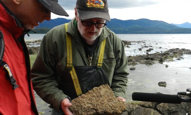 Southeast Alaskans, visitors find awe and friendship in fossil hunting