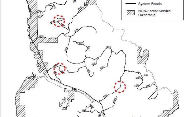 Commercial firewood sales proposed for Mitkof Island forest land