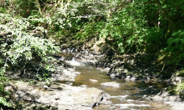 Hydropower within reach for diesel-dependent community