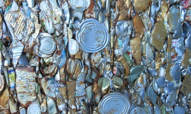 Petersburg could look at end or changes to recycling program