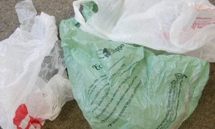 Petersburg assembly starts discussion on plastic bag ban