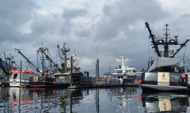 Fishing industry weighs in on state’s $50m pandemic relief plan