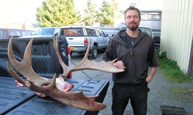 Moose harvest continues to be lower than recent years