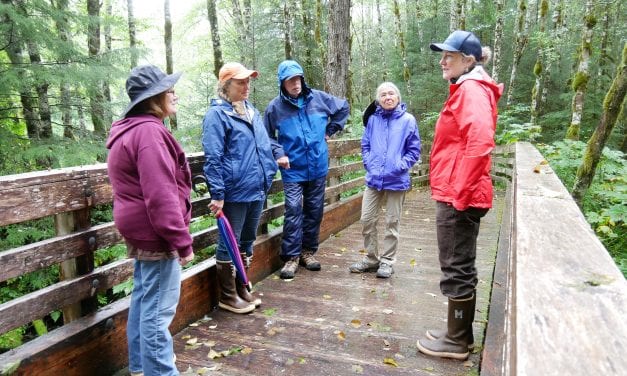 Petersburg’s Rainforest Festival teaches the public about salmon
