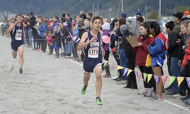 PHS cross country teams head to State this week