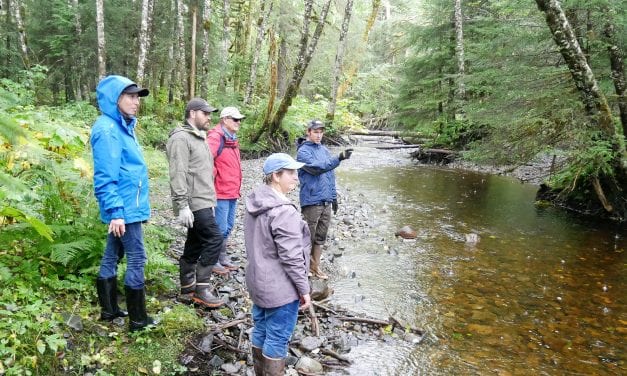 The mystery landscape of Ohmer Creek’s flood plain explained