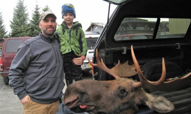 105 bull moose killed in central Southeast Alaska hunt