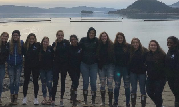 PHS volleyball has four wins, two losses at seeding tourney